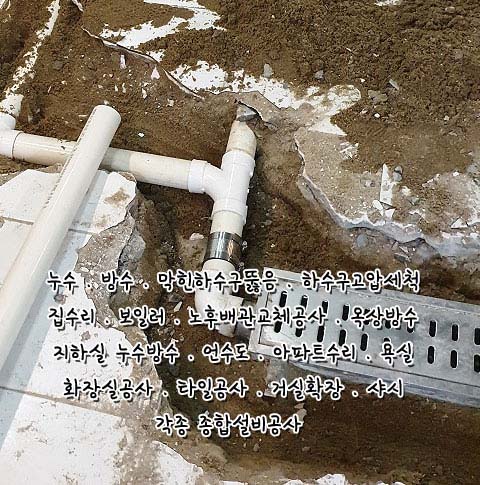 Image Two